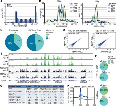 The role of salinity on genome‐wide DNA methylation 